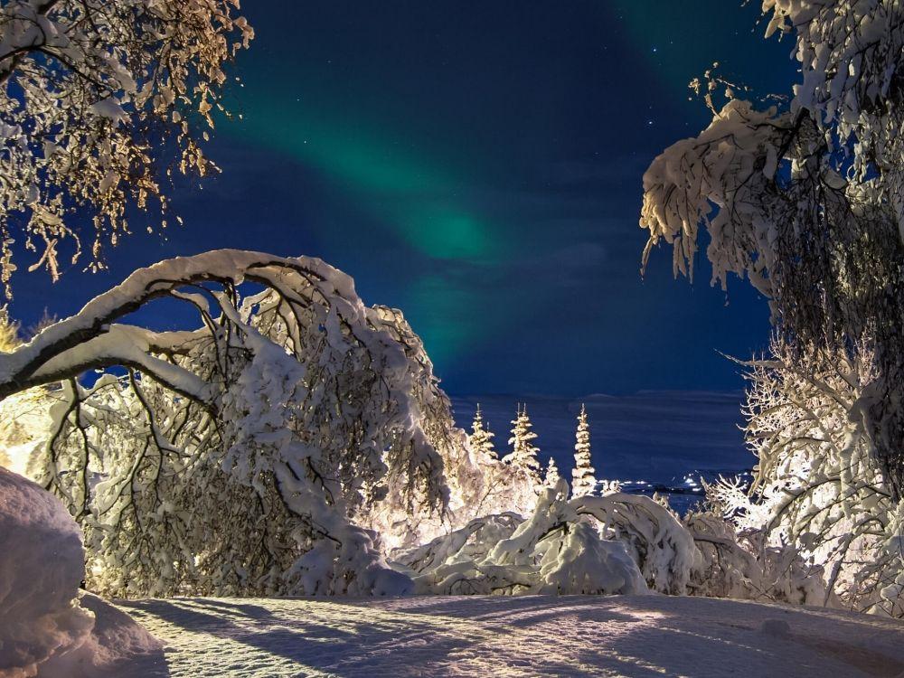 Northern Lights Christmas Break 2021
